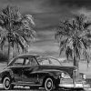 Black And White Palm Trees With Car Paint By Numbers