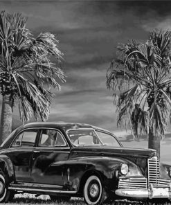 Black And White Palm Trees With Car Paint By Numbers