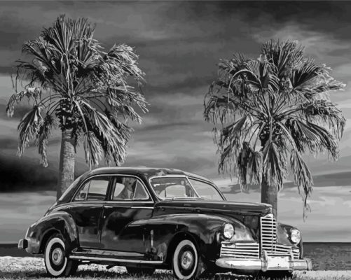 Black And White Palm Trees With Car Paint By Numbers