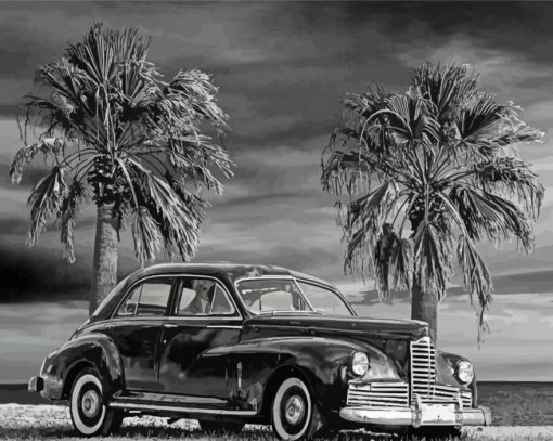 Black And White Palm Trees With Car Paint By Numbers