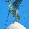 Blue Liver Bird Paint By Numbers