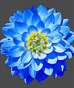 Blue Dahlia Art Paint By Numbers