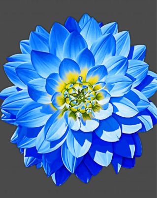 Blue Dahlia Art Paint By Numbers