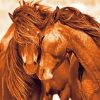 Brown Horse Couple Paint By Numbers