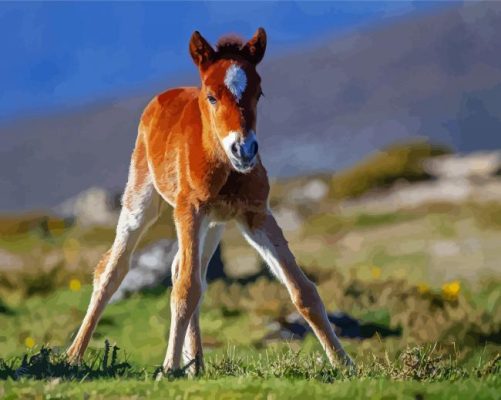 Brown Horse Foal Paint By Numbers