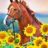 Brown Horse With Sunflowers Paint By Numbers