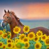 Brown Horse With Sunflowers Paint By Numbers