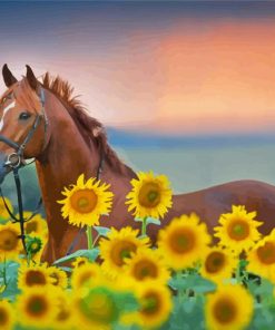 Brown Horse With Sunflowers Paint By Numbers