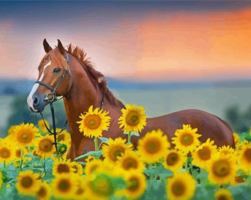 Brown Horse With Sunflowers Paint By Numbers