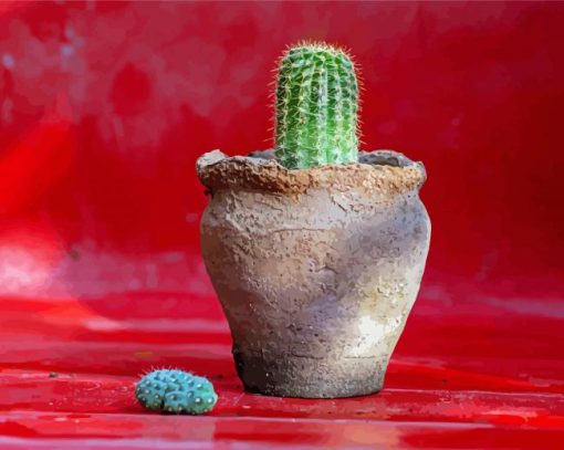 Cactus Houseplant Paint By Numbers