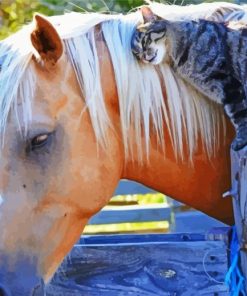 Cat Horse Paint By Numbers