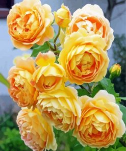 Cool Golden Celebration Flowers Paint By Numbers