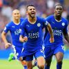 Cool Leicester City Football Club Paint By Numbers