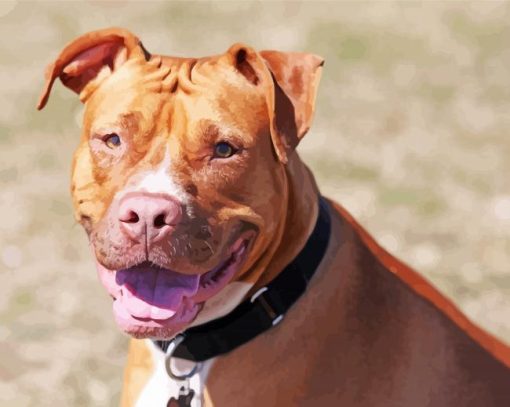 Cool Red Nose Pitbull Paint By Numbers