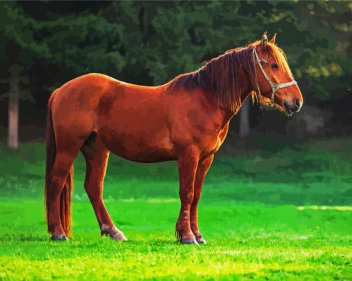 Cute Brown Mare Horse Paint By Numbers