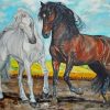 Cute Couple Horses Paint By Numbers