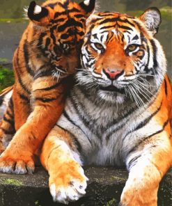 Cute Tiger Couple Paint By Number