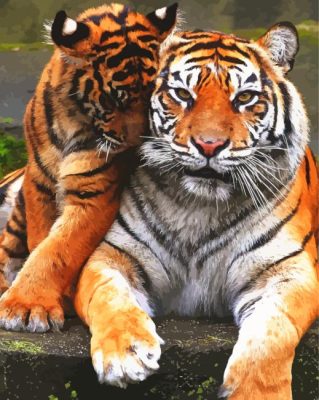 Cute Tiger Couple Paint By Number