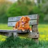 Cute Brown Dog On Bench Paint By Numbers