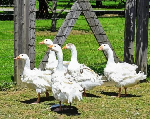 Cute White Geese In The Garden Paint By Numbers