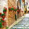 Flowering Old Streets Italy Paint By Numbers