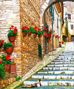 Flowering Old Streets Italy Paint By Numbers