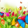 Flowers With Butterflies Insects Paint By Numbers