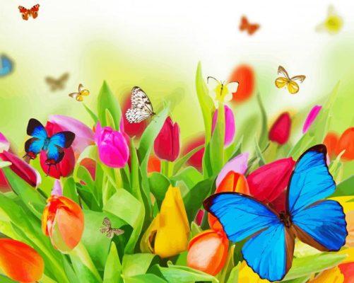 Flowers With Butterflies Insects Paint By Numbers