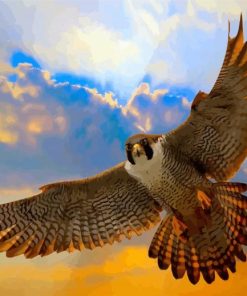 Flying Peregrine Falcon Paint By Numbers