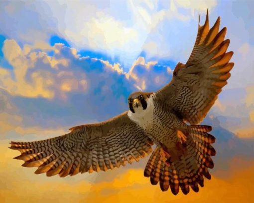 Flying Peregrine Falcon Paint By Numbers