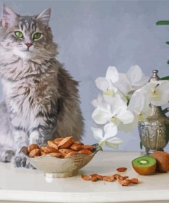 Grey Siberian Cat Paint By Numbers