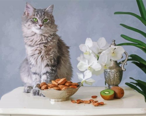 Grey Siberian Cat Paint By Numbers