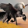 Horse Eagle Paint By Numbers