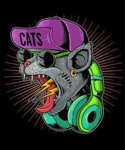 Mad Cat With Headphones Paint By Numbers