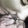 Monochrome Kissing Cat Paint By Numbers