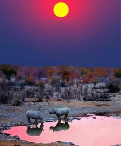 Namibia Rhino Sunset Paint By Numbers