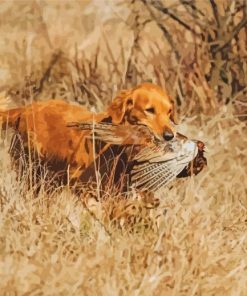 Pheasant Hunting Brown Dog Paint By Numbers