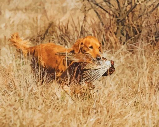 Pheasant Hunting Brown Dog Paint By Numbers