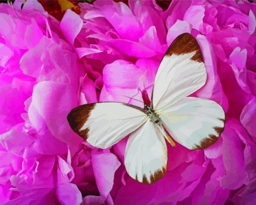 Pink Butterfly Peony Paint By Numbers