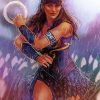 Princess Xena Warrior Paint By Numbers