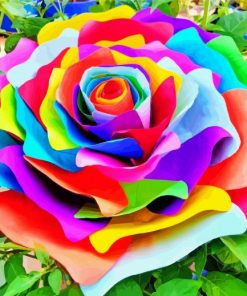 Rainbow Flower Paint By Numbers