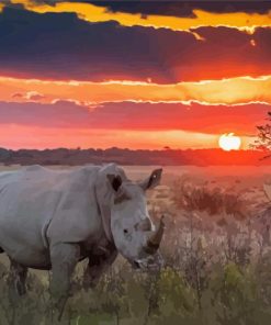 Rhino Sunset Animal Paint By Numbers