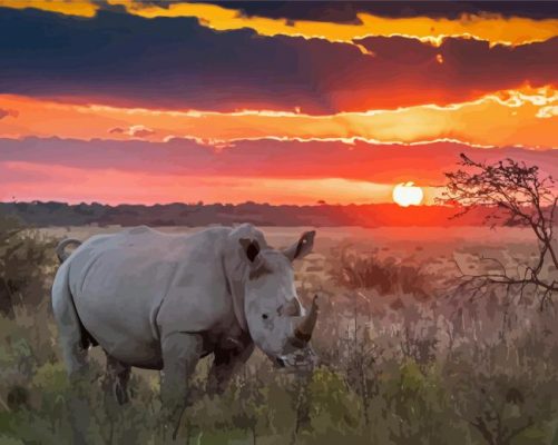 Rhino Sunset Animal Paint By Numbers