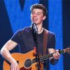 Shawn Mendes Playing Guitar Paint By Numbers