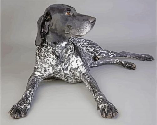 Sitting Black And White German Shorthair Pointer Paint By Numbers