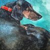 Sleeping Dachshund Dog Paint By Numbers