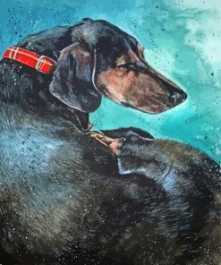 Sleeping Dachshund Dog Paint By Numbers