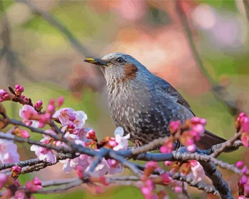 Starling On A Blossom Tree Paint By Numbers