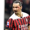 The Footballer Zlatan Ibrahimović Paint By Numbers