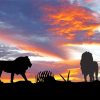 Two Lions Sunset Paint By Numbers